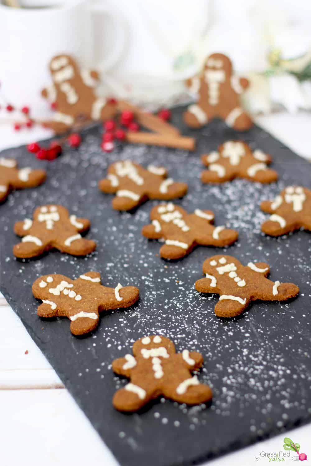 Gingerbread Cookies are a must have during the holidays. This Autoimmune Protocol (AIP) friendly recipe is the perfect replacement for your traditional recipe. Get it along with a FREE 50 page ebook full of Paleo treats and drinks for the holidays.