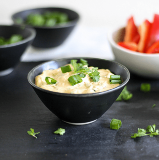 Healthy Chipotle Lime Taco Dip - dairy free