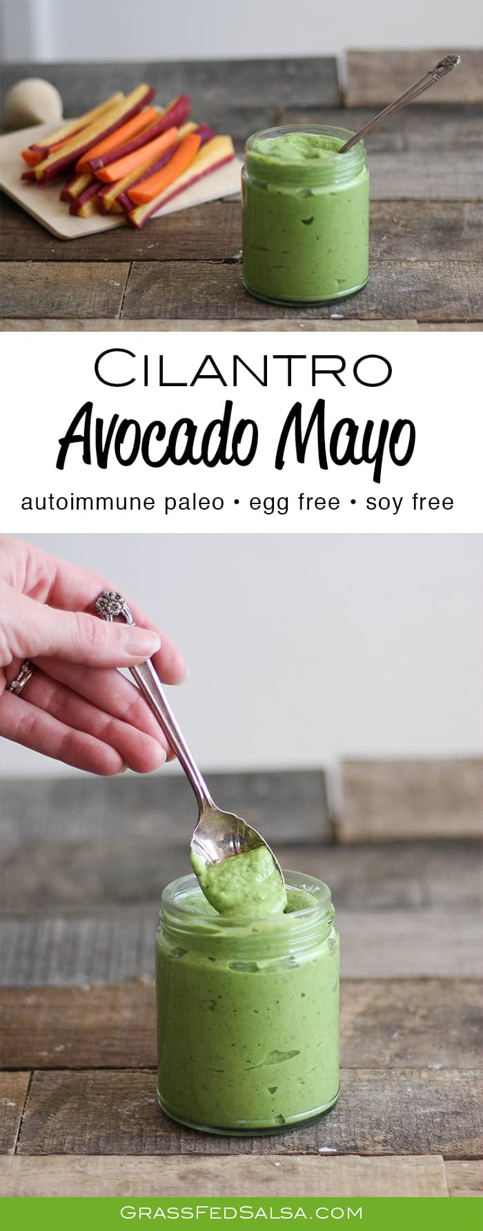 Get the recipe for this egg free, AIP & vegan friendly Cilantro Avocado Mayo.